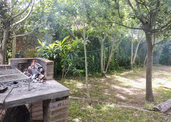 Santa Teresita en el monte